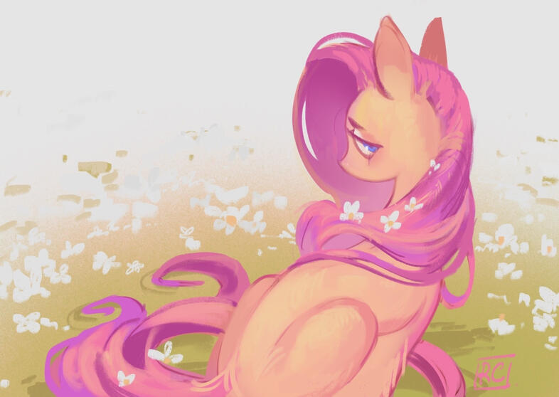 Pony